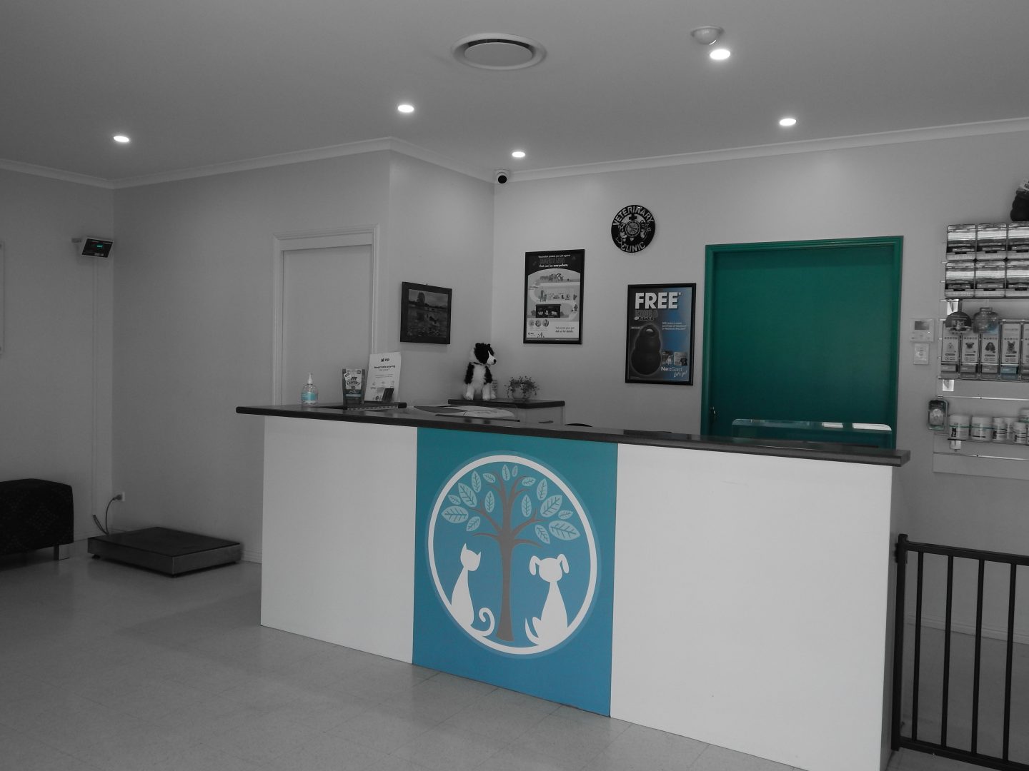 About us – Frenchs Forest Veterinary Surgery